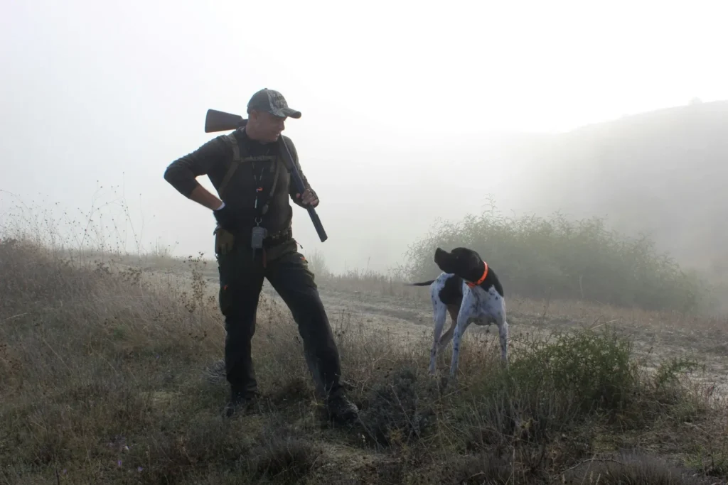 faut-il le permis de chasse pour traquer avec un chien